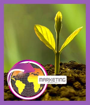 Marketing Solutions SE544, solving problems