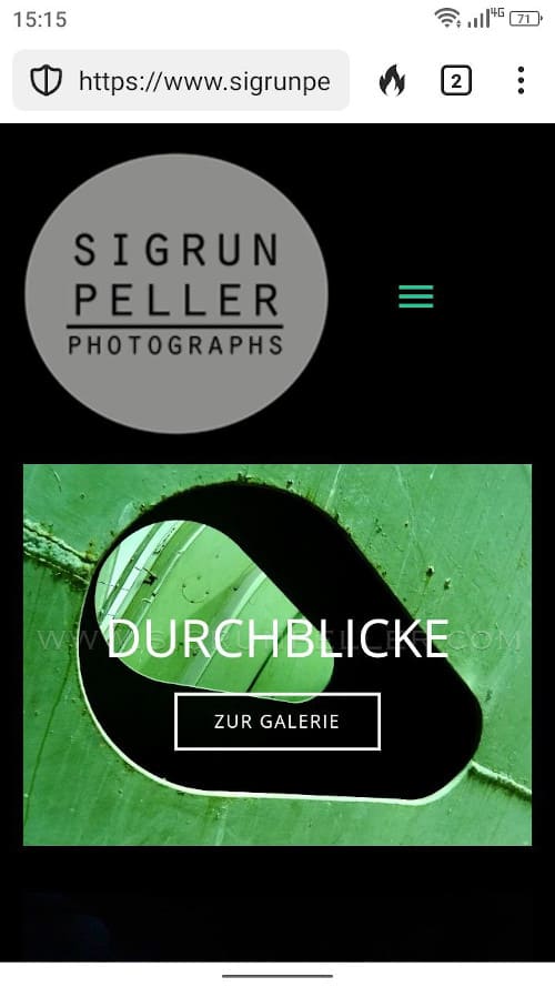 Pagina web html5 para una fotografa de swiza
